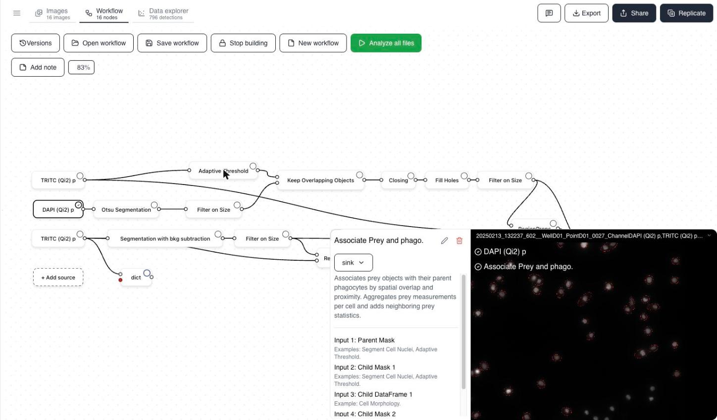 Workflow branches for prey and phagocyte channels converging on an Associate Prey and phagocyte aggregation node.