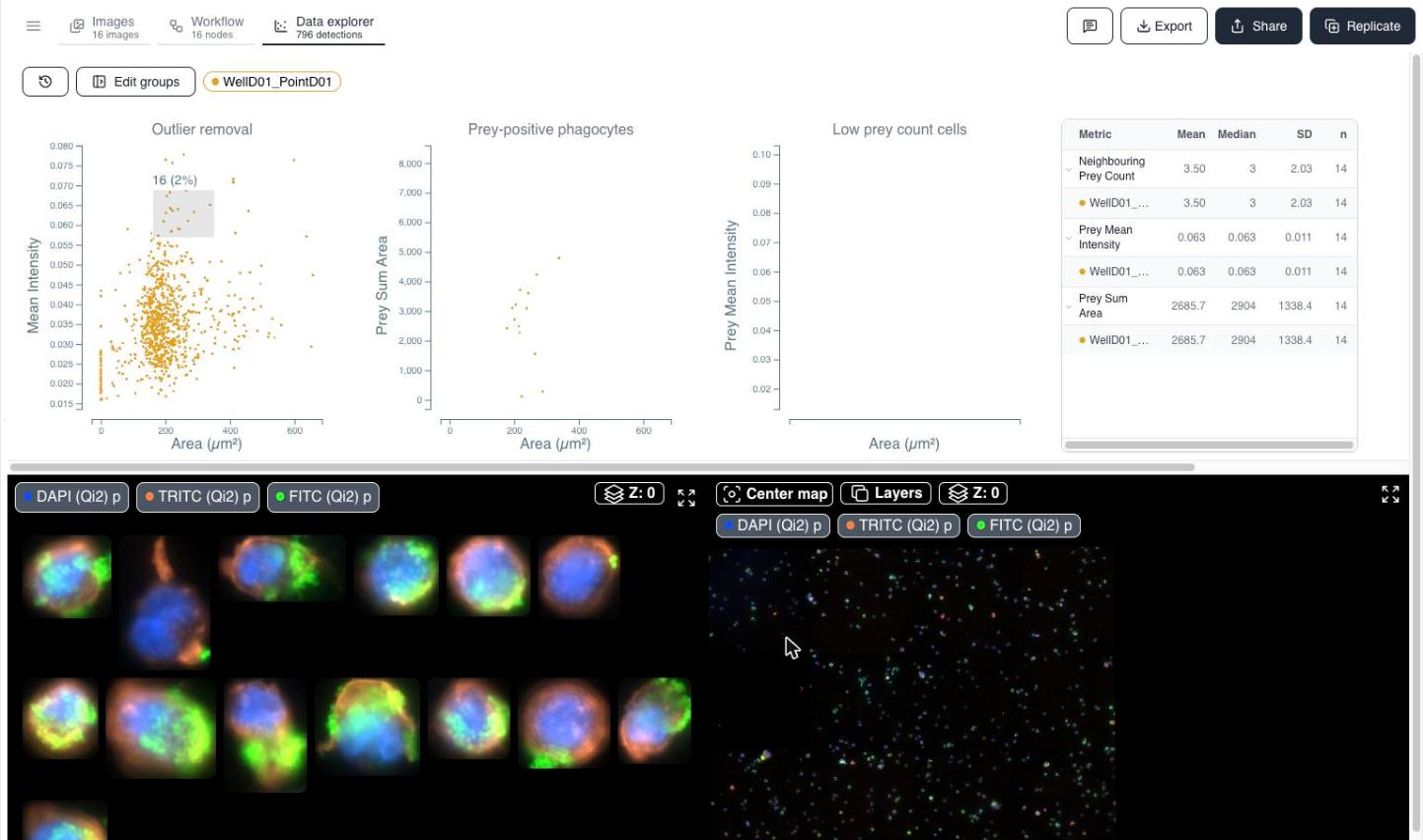 Data explorer with scatter plots on top and cropped images plus overview map on the bottom.