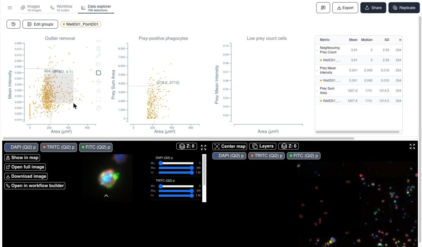 A rectangle gate drawn on a scatter plot with the cropped-image gallery and overview map filtered to matching objects.