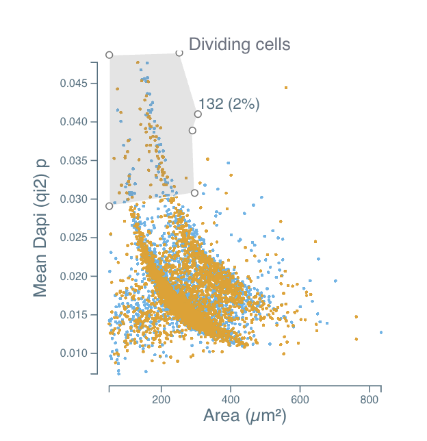 Scatter plot of mean DAPI intensity against area, with a polygon gate named Dividing cells containing 132 objects (2%).