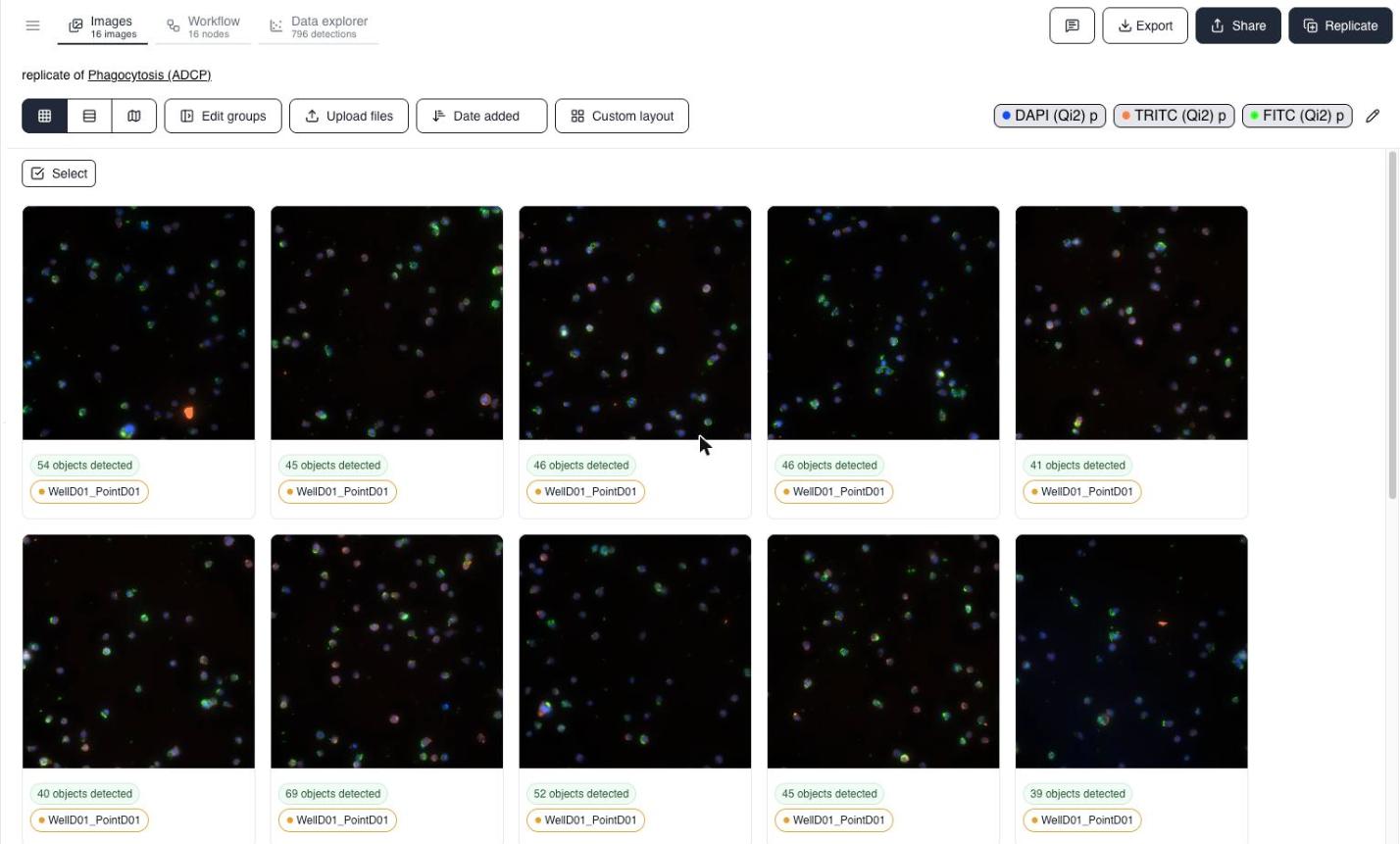 Images tab showing a gallery of microscopy fields with detection counts and group tags.