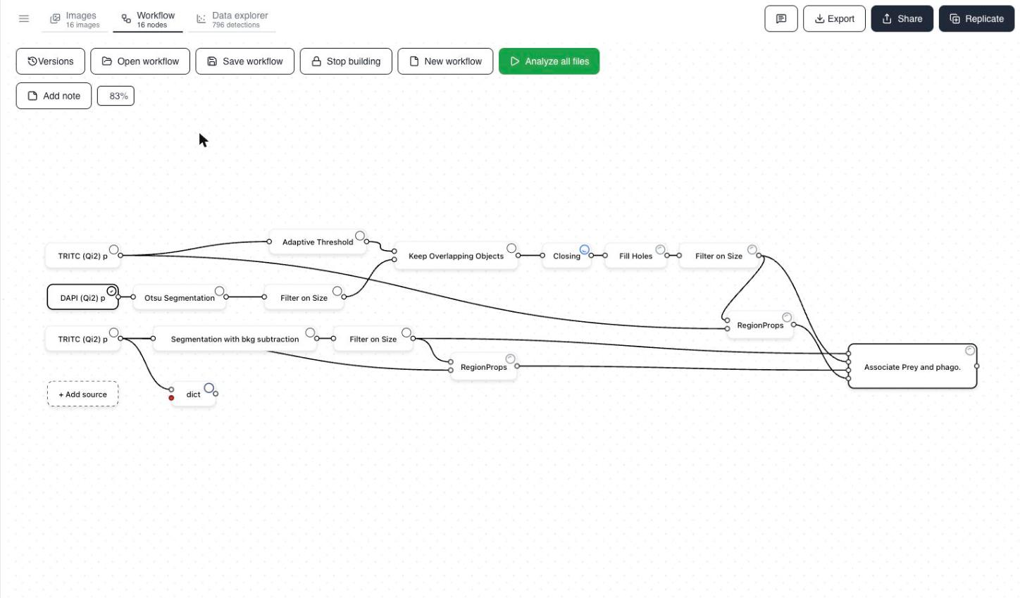 Workflow builder canvas showing source channels feeding into segmentation, clean-up, measurement, and an aggregation sink node.