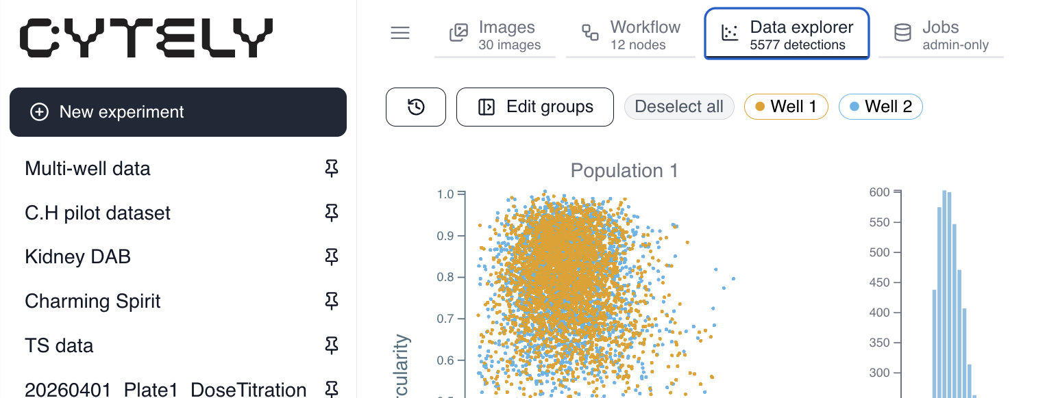 Cytely sidebar with the New experiment button above the list of existing datasets.